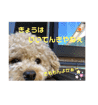 はっちゃん❤（個別スタンプ：14）