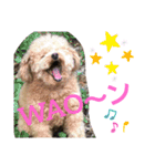 はっちゃん❤（個別スタンプ：15）