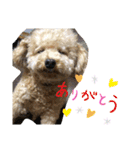 はっちゃん❤（個別スタンプ：16）