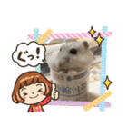 ハムず 3（個別スタンプ：3）