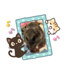 ハムず 3（個別スタンプ：7）