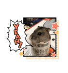 ハムず 3（個別スタンプ：9）