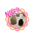 ハムず 3（個別スタンプ：10）