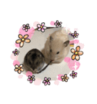 ハムず 3（個別スタンプ：11）