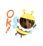 愛犬♡なみちゃん（個別スタンプ：10）