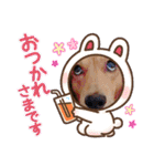 愛犬♡なみちゃん（個別スタンプ：14）