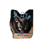 ちびにゃん。（個別スタンプ：3）