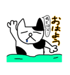 まぁまぁ使いやすいねこさん（個別スタンプ：10）