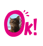 onekoさま ②（個別スタンプ：10）