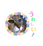 onekoさま ②（個別スタンプ：12）