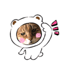 onekoさま ②（個別スタンプ：17）