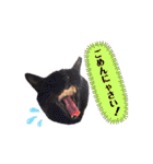 onekoさま ②（個別スタンプ：24）