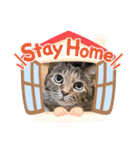 onekoさま ②（個別スタンプ：36）