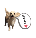 チワックス幸子スタンプ（個別スタンプ：10）