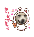 おもちのきもちだよん（個別スタンプ：8）