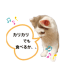 サイベリアン のあ（個別スタンプ：16）