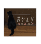 どんどん成長してきたペク（個別スタンプ：20）