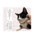 どんどん成長してきたペク（個別スタンプ：23）