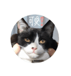 どんどん成長してきたペク（個別スタンプ：32）