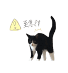 どんどん成長してきたペク（個別スタンプ：38）