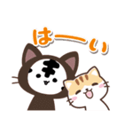 ホワイトタイガーさんの加工スタンプ！（個別スタンプ：4）