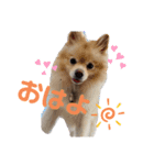 しょくぱんとひじき（個別スタンプ：1）