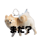 しょくぱんとひじき（個別スタンプ：3）