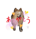 しょくぱんとひじき（個別スタンプ：5）