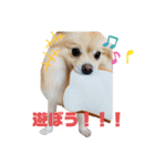 しょくぱんとひじき（個別スタンプ：7）
