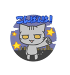 とあるねこのにちじょう（個別スタンプ：5）