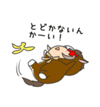 こむ。競馬（個別スタンプ：15）