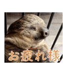 ナマちゃん スタンプ（個別スタンプ：1）