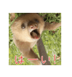 ナマちゃん スタンプ（個別スタンプ：2）