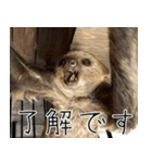 ナマちゃん スタンプ（個別スタンプ：6）