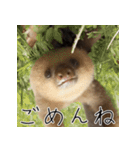 ナマちゃん スタンプ（個別スタンプ：7）