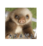 ナマちゃん スタンプ（個別スタンプ：8）