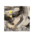 ナマちゃん スタンプ（個別スタンプ：10）