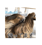 ナマちゃん スタンプ（個別スタンプ：11）