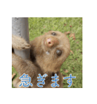 ナマちゃん スタンプ（個別スタンプ：12）