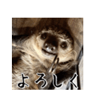 ナマちゃん スタンプ（個別スタンプ：14）