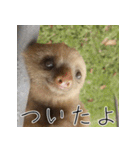ナマちゃん スタンプ（個別スタンプ：15）