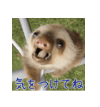 ナマちゃん スタンプ（個別スタンプ：16）