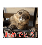 ナマちゃん スタンプ（個別スタンプ：18）