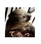 ナマちゃん スタンプ（個別スタンプ：19）