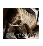 ナマちゃん スタンプ（個別スタンプ：20）