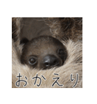 ナマちゃん スタンプ（個別スタンプ：22）