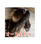 ナマちゃん スタンプ（個別スタンプ：24）