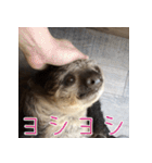 ナマちゃん スタンプ（個別スタンプ：27）