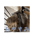 ナマちゃん スタンプ（個別スタンプ：31）