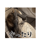 ナマちゃん スタンプ（個別スタンプ：35）